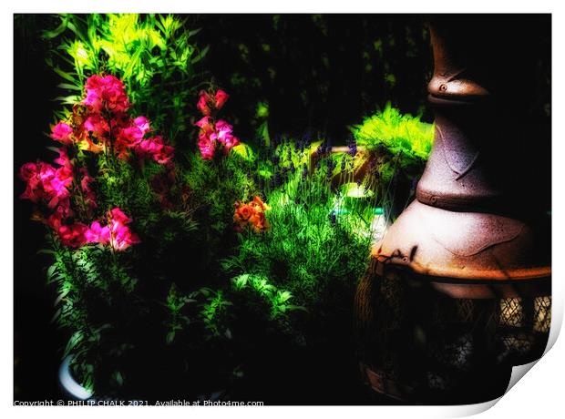 Summer flower garden glow 19 soft arty  Print by PHILIP CHALK