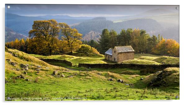 Autumn colours at Bell Hagg Barn Acrylic by Chris Drabble