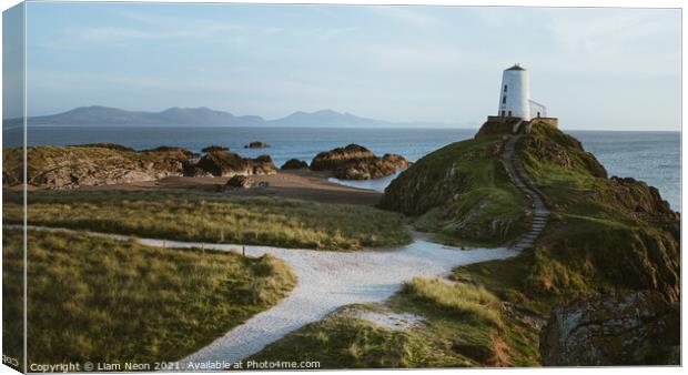 The Path to Tŵr Mawr Canvas Print by Liam Neon