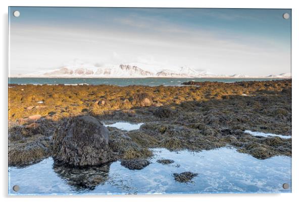 Snowcapped mountains Reykjavik Acrylic by Jonathon barnett