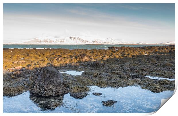 Snowcapped mountains Reykjavik Print by Jonathon barnett