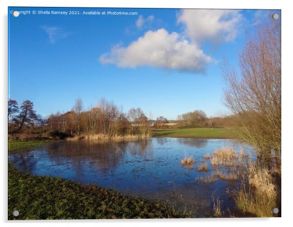 The water meadow Taunton Acrylic by Sheila Ramsey