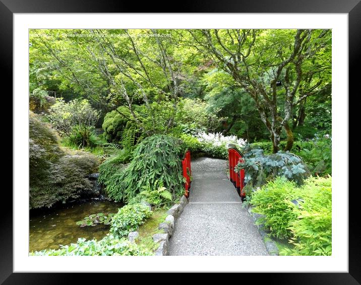 Japanese bridge Butchart Gardens Framed Mounted Print by Sheila Ramsey