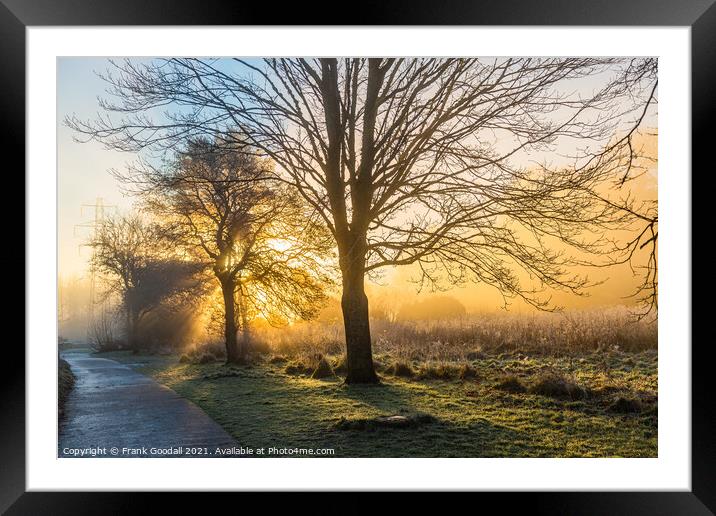 Sunrise Through The Trees Framed Mounted Print by Frank Goodall