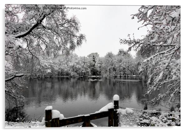 Coppice Pond Snow - 03 Acrylic by Trevor Camp