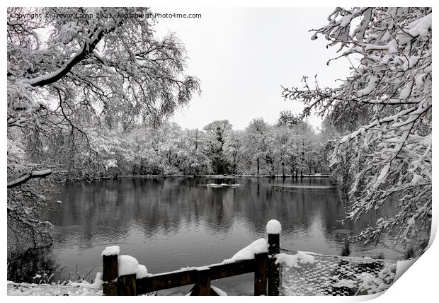 Coppice Pond Snow - 03 Print by Trevor Camp