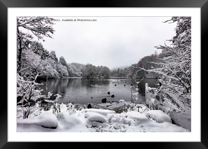 Coppice Pond Snow - 02 Framed Mounted Print by Trevor Camp