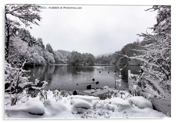 Coppice Pond Snow - 02 Acrylic by Trevor Camp