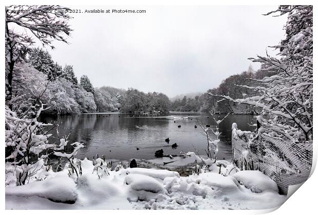 Coppice Pond Snow - 02 Print by Trevor Camp