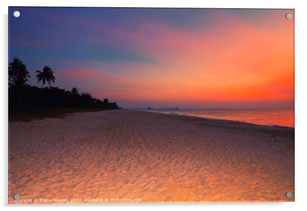Naples Beach at Sunset , Florida Acrylic by Elaine Manley