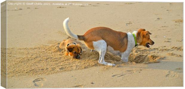 Atractive dogs playing on sandy beach. Canvas Print by Geoff Childs