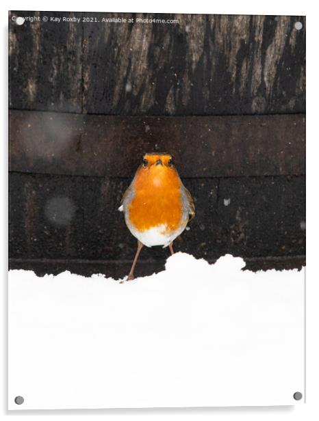 Snowy robin in Scotland Acrylic by Kay Roxby