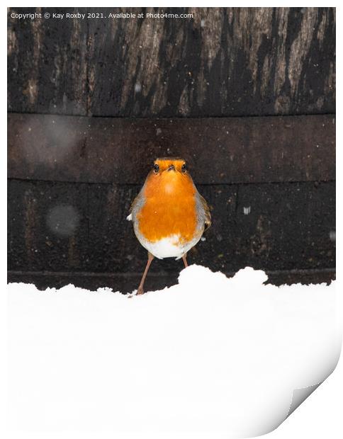 Snowy robin in Scotland Print by Kay Roxby