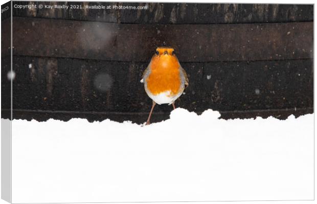 Robin in snow Canvas Print by Kay Roxby
