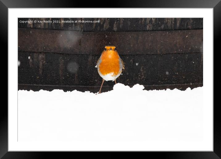 Robin in snow Framed Mounted Print by Kay Roxby