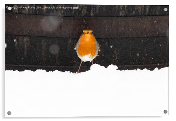 Robin in snow Acrylic by Kay Roxby
