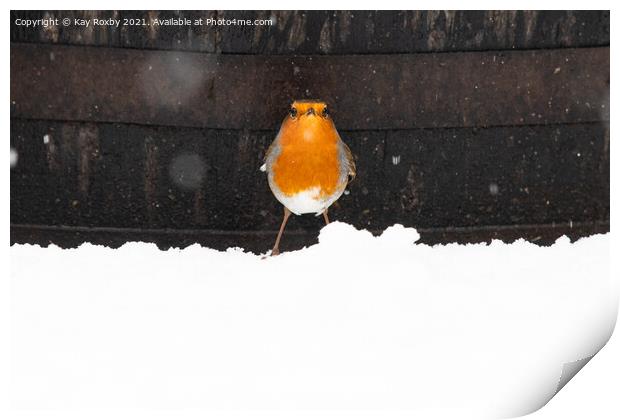 Robin in snow Print by Kay Roxby