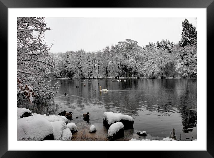Coppice Pond Snow - 01 Framed Mounted Print by Trevor Camp