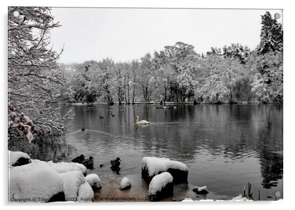 Coppice Pond Snow - 01 Acrylic by Trevor Camp