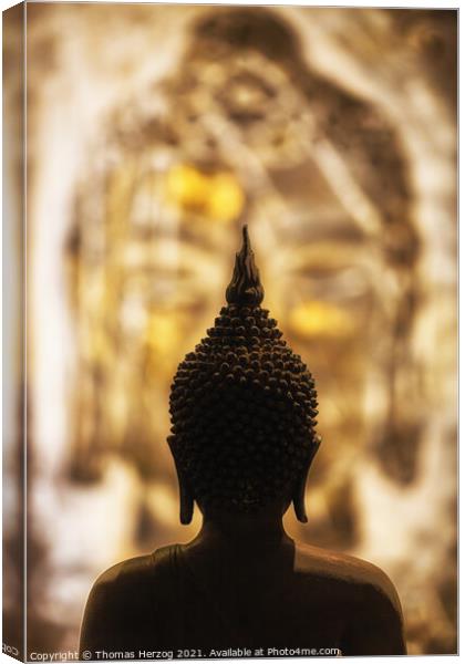 Face to face with Buddha Canvas Print by Thomas Herzog