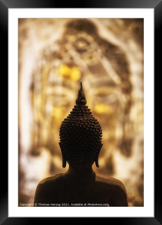 Face to face with Buddha Framed Mounted Print by Thomas Herzog