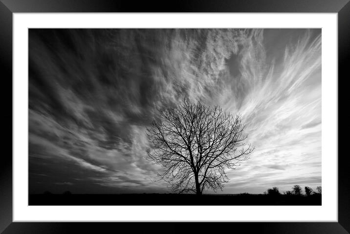 isolated  tree Framed Mounted Print by Simon Johnson