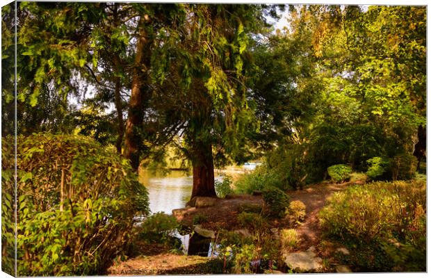 Redwood By the Lake at Queen's Park Swindon Canvas Print by Reidy's Photos