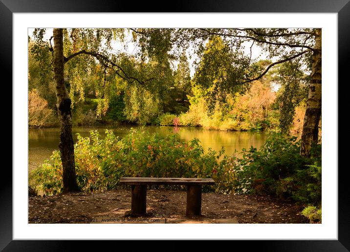 Bench with A View Framed Mounted Print by Reidy's Photos