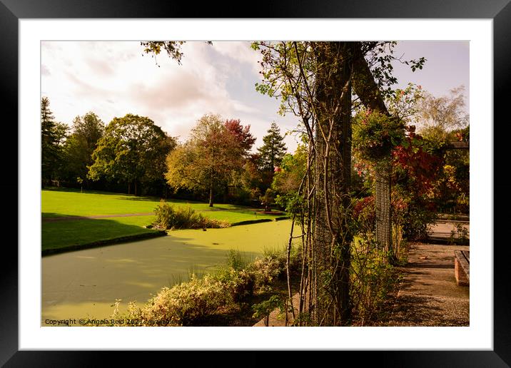 Gazebo by the Pond Queen's Park  Framed Mounted Print by Reidy's Photos