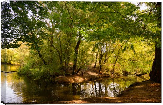 River in Queen's Park Swindon Canvas Print by Reidy's Photos