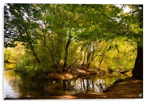 River in Queen's Park Swindon Acrylic by Reidy's Photos