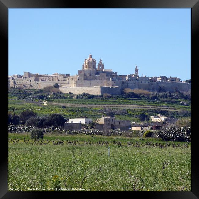 St Paul’s Cathedral, Mdina, Malta, from a distance Framed Print by Sheila Eames