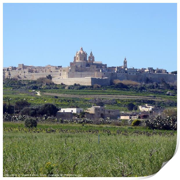 St Paul’s Cathedral, Mdina, Malta, from a distance Print by Sheila Eames