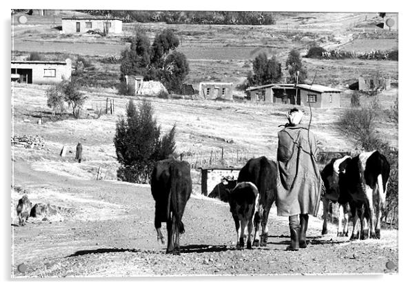 The herder Acrylic by Hush Naidoo