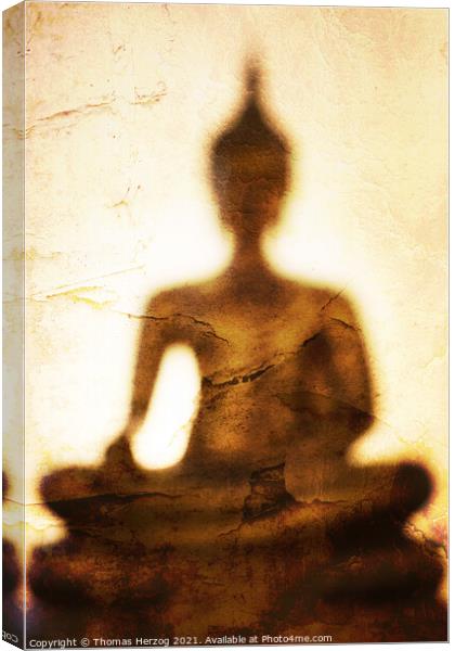 The shadow of Buddha Canvas Print by Thomas Herzog