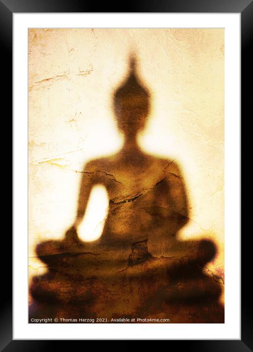 The shadow of Buddha Framed Mounted Print by Thomas Herzog