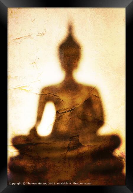 The shadow of Buddha Framed Print by Thomas Herzog