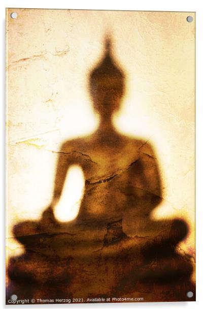 The shadow of Buddha Acrylic by Thomas Herzog