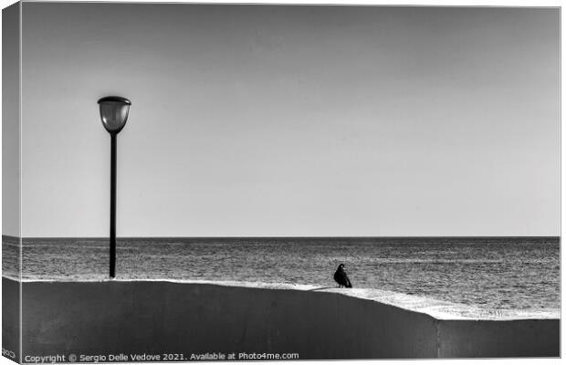 In front of the sea Canvas Print by Sergio Delle Vedove