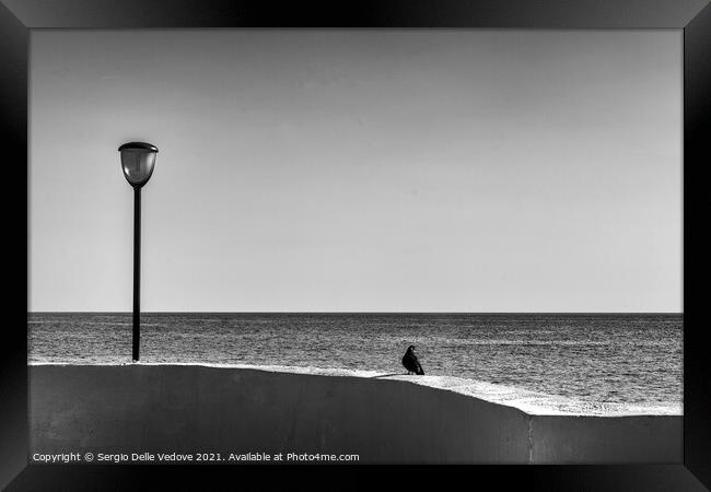 In front of the sea Framed Print by Sergio Delle Vedove