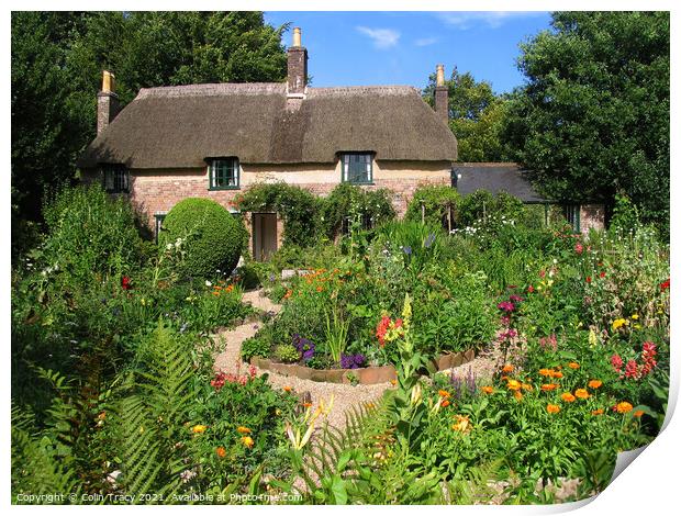 Hardy's Cottage, Near Dorchester, Dorset, UK Print by Colin Tracy