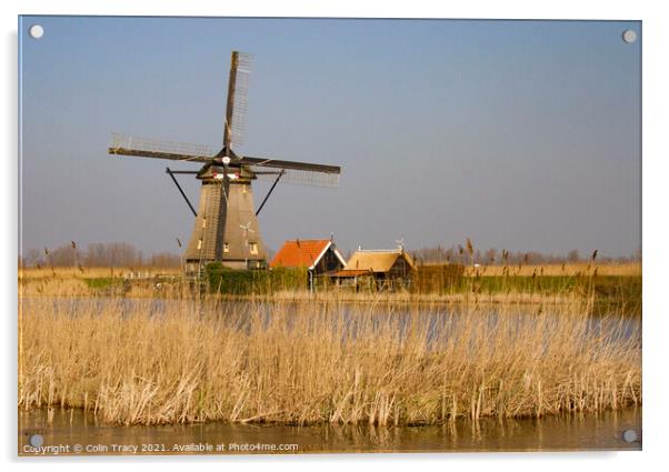 Windmill in Kinderdijk,  Holland Acrylic by Colin Tracy