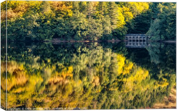 Derwent Reservior reflections Canvas Print by Chris Drabble