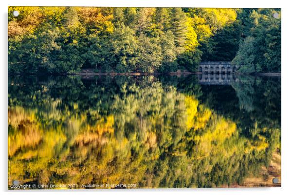 Derwent Reservior reflections Acrylic by Chris Drabble