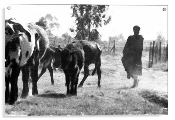 The herder Acrylic by Hush Naidoo