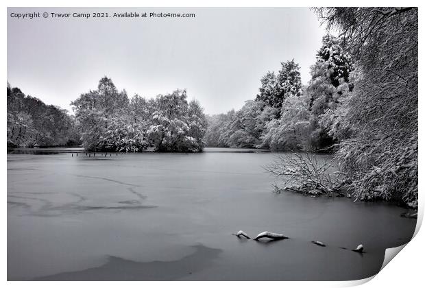 Frozen Coppice Pond - 03 Print by Trevor Camp