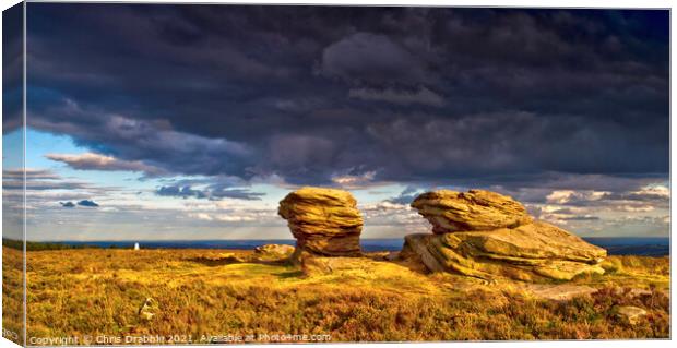The Ox Stones caught in storm light Canvas Print by Chris Drabble