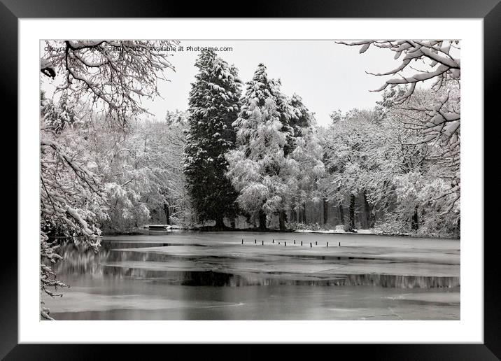 Frozen Coppice Pond - 05 Framed Mounted Print by Trevor Camp