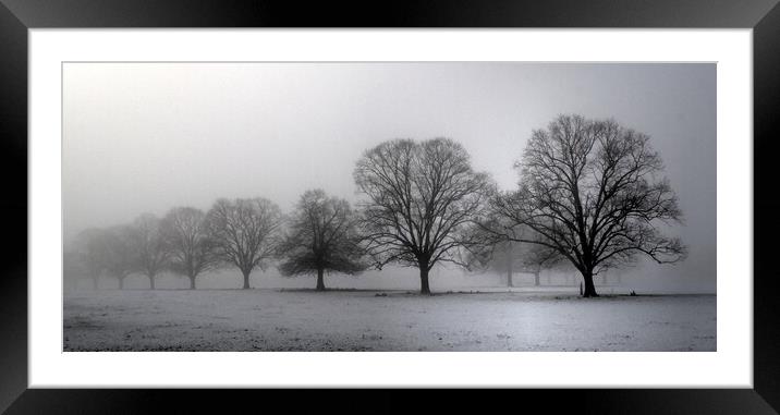 Trees in morning mist  Framed Mounted Print by Jon Fixter