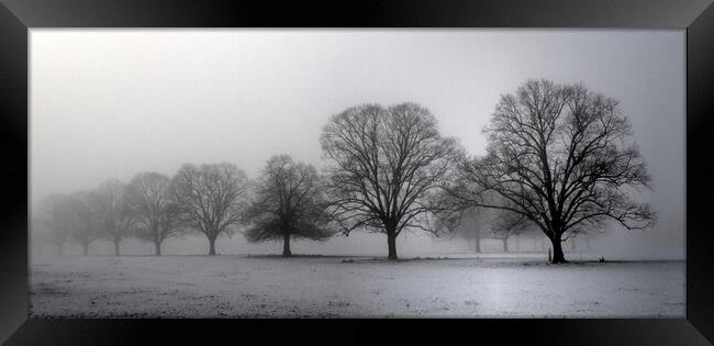 Trees in morning mist  Framed Print by Jon Fixter